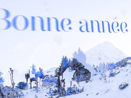 Photo des vœux 2016 d'Hélène Titre