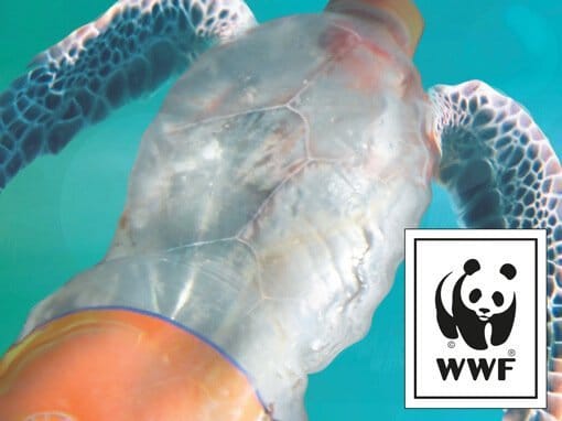 Zoom sur un animal mi marin mi déchet de la campagne pub WWF